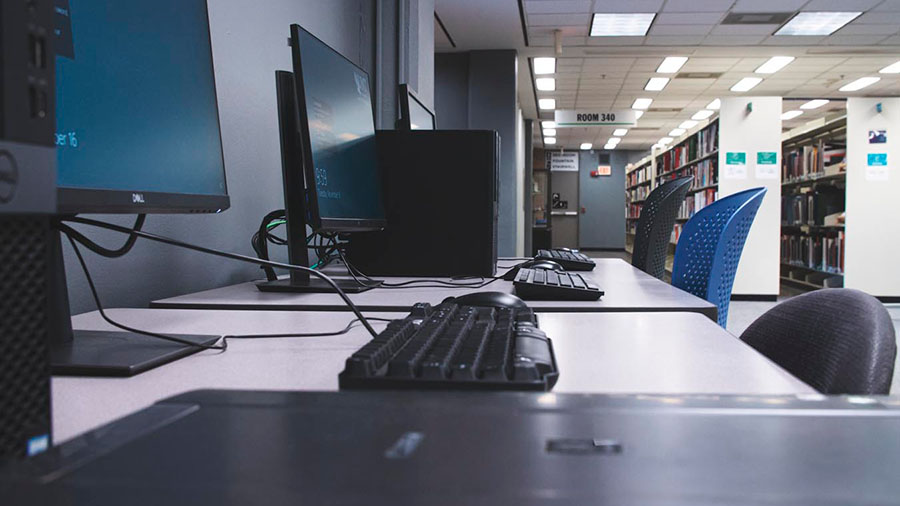 people sitting at computer workstations